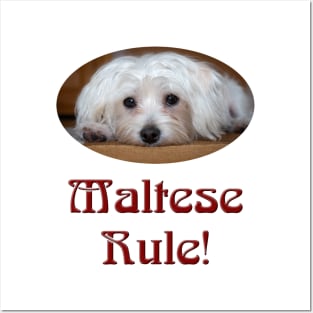 Maltese Rule! Posters and Art